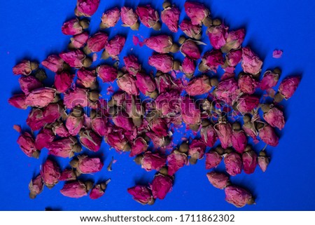 A lot of little pink roses on a blue background - horizontal photo