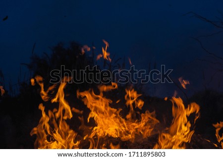 Forest fire.Fire in the winter forest
