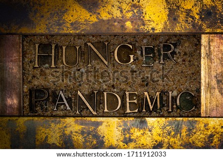 Photo of real authentic typeset letters forming Hunger Pandemic text on vintage textured grunge copper and gold background