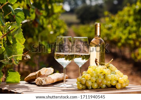 glass of dry White wine ripe grapes and bread on table in vineyard Royalty-Free Stock Photo #1711940545