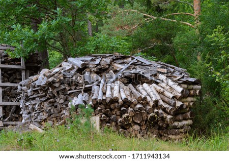 A neat pile of firewood in a green forest. Cutting down trees in the forest, broken by the wind. Environmental protection, climate change.