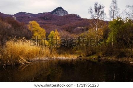 Landscape with a lake in the mountains in the thick of trees