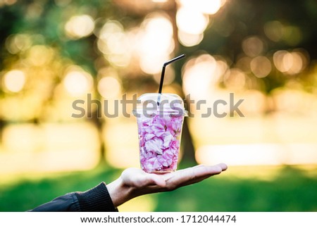 Cocktail of flowers. Petals. Sakura. Plastic cup. Plastic cup in human hands. Cocktail.