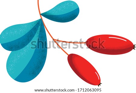 Barberries with leaves vector illustration on white background  Royalty-Free Stock Photo #1712063095