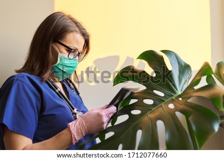 Serious woman doctor in medical blue uniform, protective mask, gloves reading digital tablet, medic standing in office near window. Medicine, healthcare, people concept, copy space