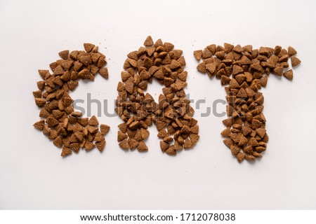 Image caption The cat made dry food on a white background