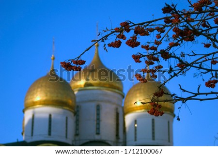 Rowan berry tree and blurred Dormition church of Moscow Kremlin. Popular touristic landmark. Color photo