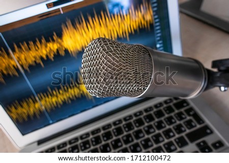 professional microphone and wave form on the screen