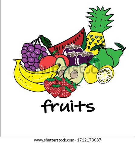 hand drawn fruits vector