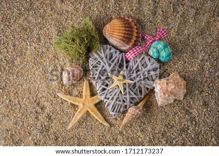 Tropical seashells and sand background - shallow focus
