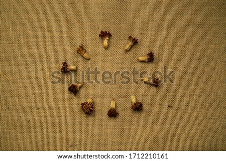 Dried marigold flowers. Marigold flowers (calendula officinalis) for medicines are dried on the old windowsill. Burlap background