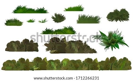 Vector green tree and bush on white background. Summer forest. Vector design. Clean vector landscape like jungle. Tropical collection leaves, grass and bushes