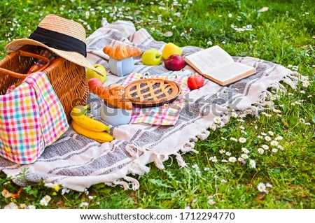 Picnic basket with fruit and bakery on a plaid and a green meadow with flowers. Lunch in the park on the green grass. Summer picnic background concept. Copy space. Soft focus .