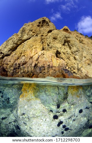 Underwater photography. Gallipoli Canakkale, TURKEY