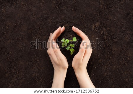 Earth day and Ecology.Plant in hands.Young couple carrying plant and planted a plant in to the soil on land back ground.field. Photo concept save world and ecology. copy space. story.