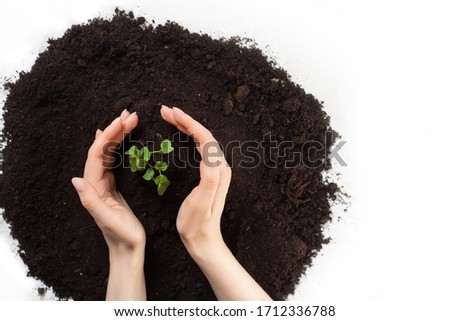 Earth day and Ecology.Plant in hands.Young couple carrying plant and planted a plant in to the soil on land back ground.field. Photo concept save world and ecology. copy space. story