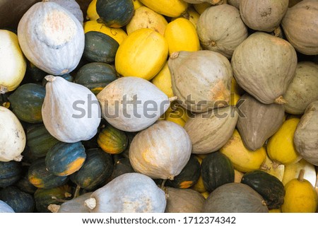 Overhead photo of squash- multi colored