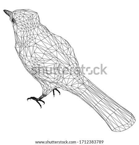 Jay bird polygonal lines illustration. Abstract vector bird on the white background