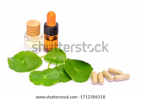 Fresh Gotu Kola ( Asiatic pennywort, Indian pennywort, Centella asiatica ) leaf with essential oil and capsules isolated on white background. Tropical medical ayurveda herbal plant concept. 