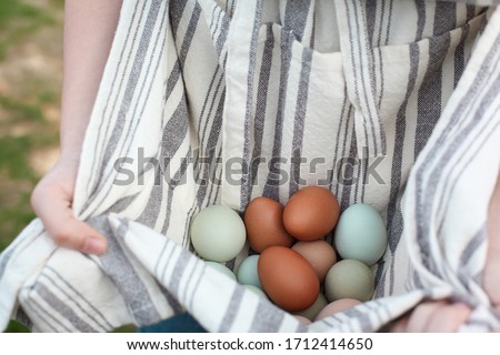 Close up of a woman's hands, holding organic colorful eggs in her apron. Selective focus with extreme shallow depth of field and blurred background. 
