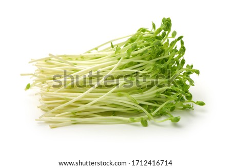 Bunch of snow pea microgreen on white background Royalty-Free Stock Photo #1712416714