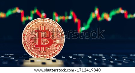 Bitcoin gold coin and defocused chart background. Virtual cryptocurrency concept. Bitcoins on ladder chart cryptocurrency concept. Bitcoin currency with blockchain concept.