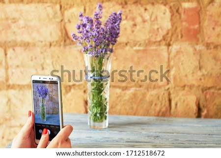 Girl photographs a bouquet of lavender in a vase on a smartphone. Focus on the smartphone screen. Brick background
