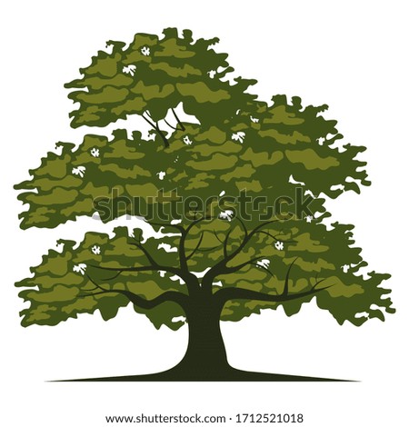 tree design in cartoon style. illustration of a tree in a flat style.