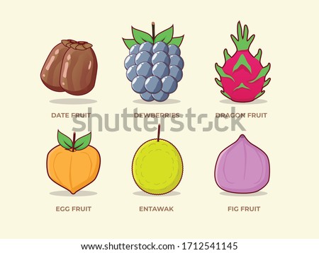 Set of fruit collection vector illustration
