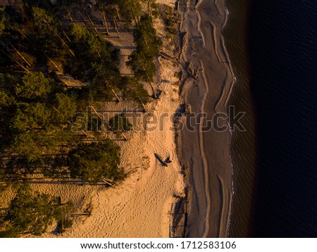 Beautiful drone areal photography view of large dune and pine forest near river Lielupe. Photo taken on sunset, Europe, Latvia.