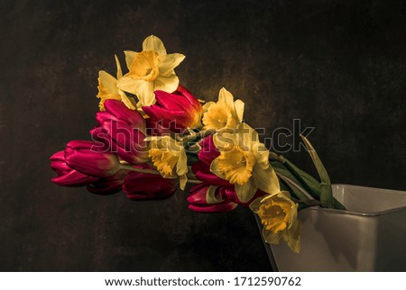 Pink tulips and yellow daffodils as inspiration for still life photography