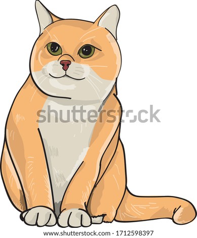 asian cat - isolated vector illustration