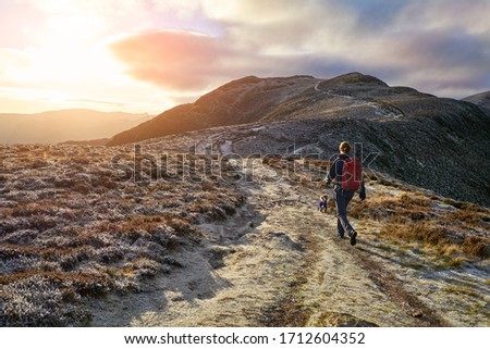A hiker and their dog walking towards the mountain summit of High Spy from Maiden Moor at sunrise on the Derwent Fells in the Lake District, UK. Royalty-Free Stock Photo #1712604352