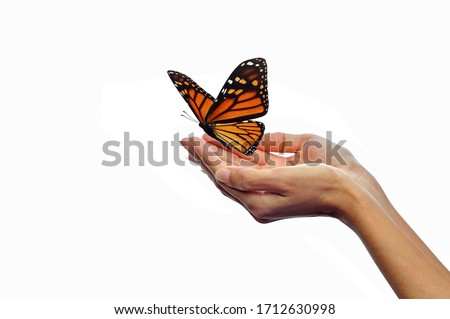 Hands releasing butterflies isolated on white background.