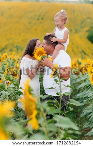 Daddy's carrying a baby daughter on his shoulders in the field of sunflowers. The concept of summer holiday. Father's, mother's, baby's day. Spending time together. Family look. Couple kissing.
