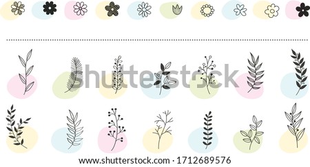 Hand drawn vector floral elements. Branches and leaves colors. Herbs and plants collection. Vintage botanical illustrations. Royalty-Free Stock Photo #1712689576