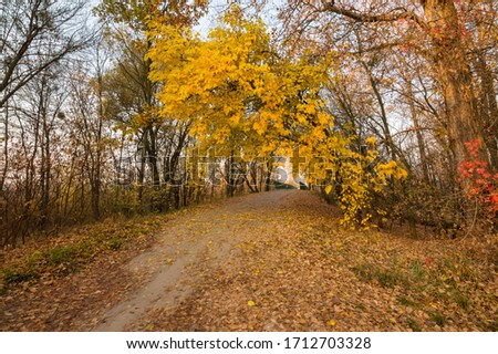 Autumn landscape. Autumn is a wonderful time of the year, with beautiful colors and a peaceful atmosphere around. Photo taken in Eastern Europe, autumn morning. In the morning it was cool and foggy.