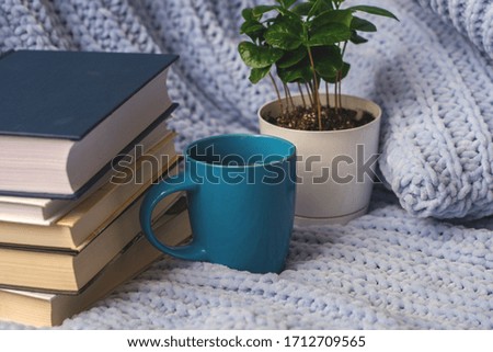 Background of blue knitted plaid and pillows in cosy house with flower in pot and books, mug of tea, a garland. Home place work.