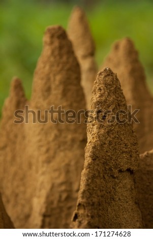 anthill termite - yellow mountains and pyramids - macro picture
