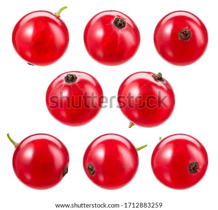 Red currant isolated. Currant red on white background. Currant red isolated. Currants on white.  With clipping path. Royalty-Free Stock Photo #1712883259