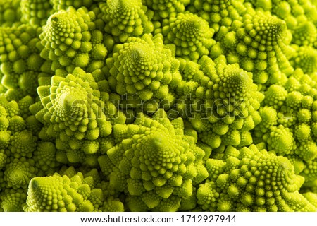 Vegetables. Detail of the romanesque cauliflower. Royalty-Free Stock Photo #1712927944