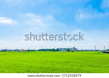 Rice field in Saitama, Japan.