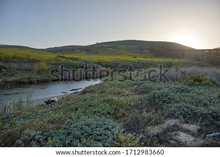 Traveling along Jalama road in Central California in the spring