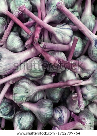 a lot of garlic close-up