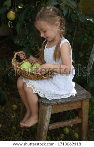 
little girl picks apples in a basket