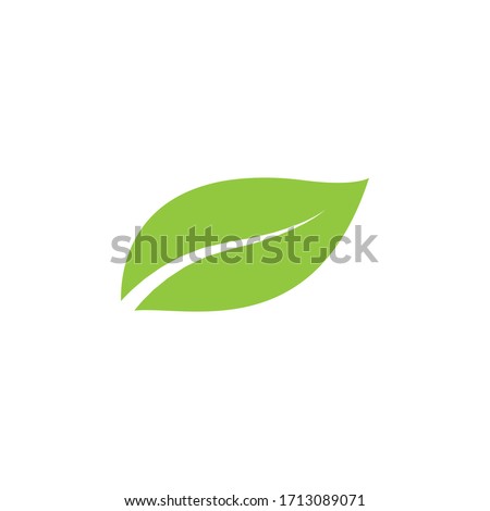 Green natural leaf drawing, vector