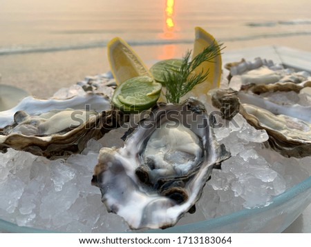 6  raw oysters put on ice and decorate with yelow and green lemon 