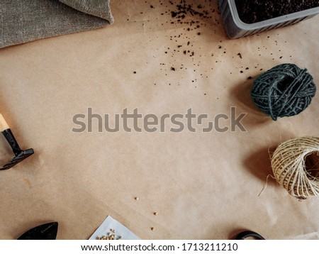 Young plants, seedlings and sprouts. Photo with place for text.  Tools for planting seedlings. Beige background for text. Preparation for planting seedlings on a beige background. Spring garden work