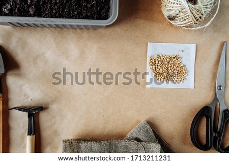 Tools for seedlings on beige paper. Spinach Seeds. Rustic style. Plant growing. Fresh greens. Home gardening, planting plant seeds.
Photo with place for text. Spring garden work