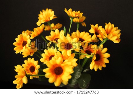 A bouquet of small sunflowers on a black background.